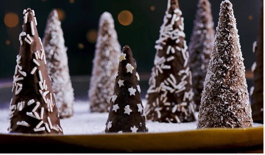 forêt de sapins choco-framboise